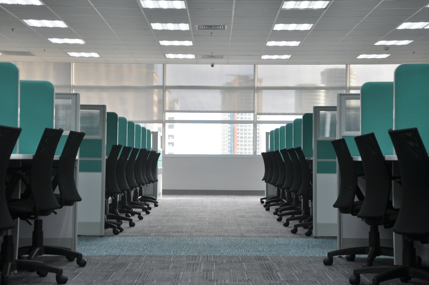 Office carpet cleaning for a Tampa commercial space