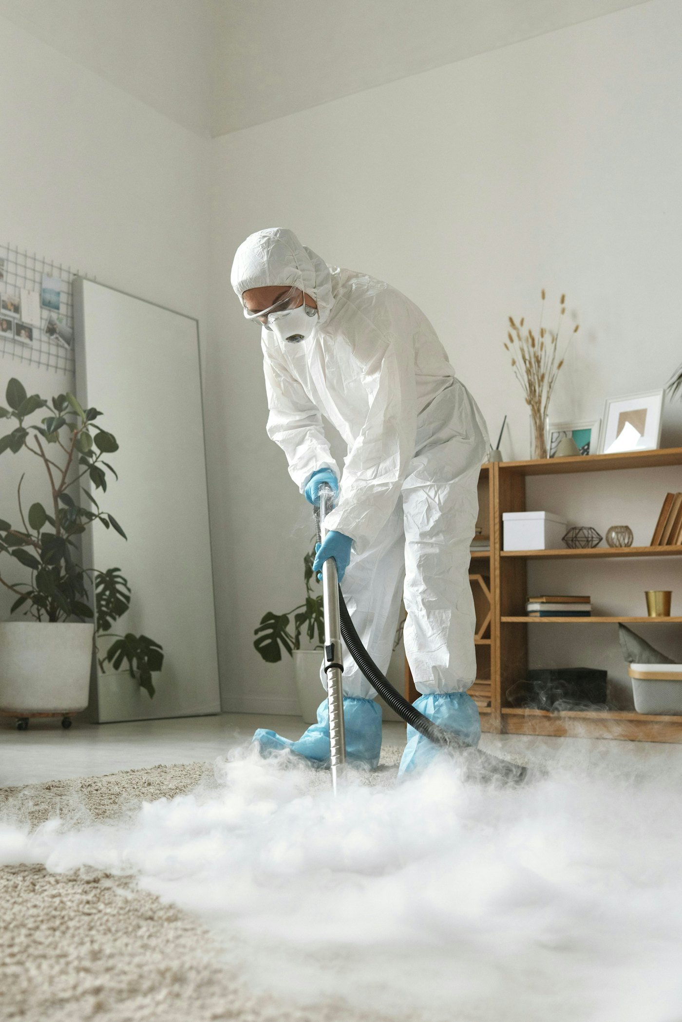 Technician deep cleaning a living room carpet in Tampa, FL