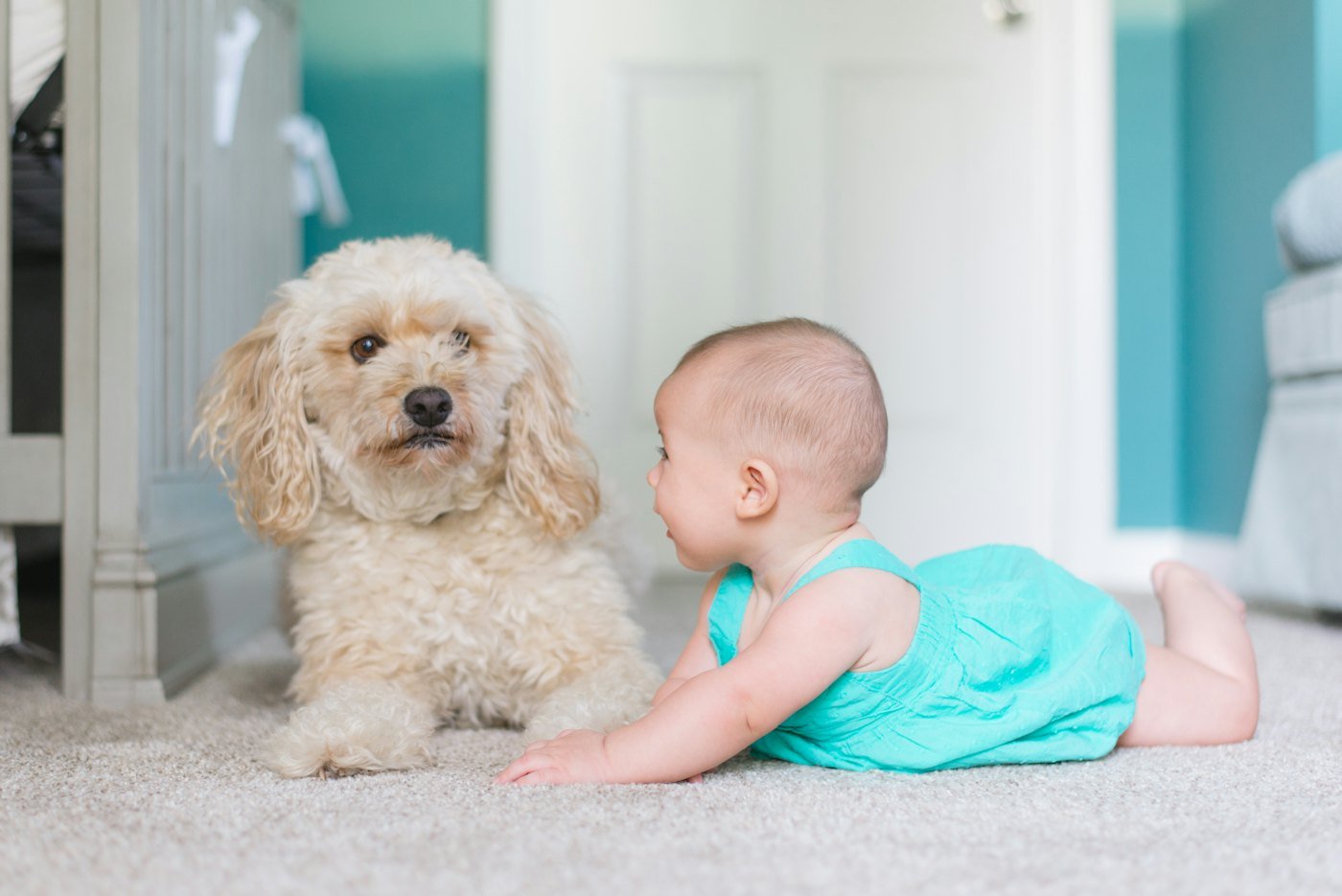 Baby and dog on clean carpet after pet stain and odor treatment